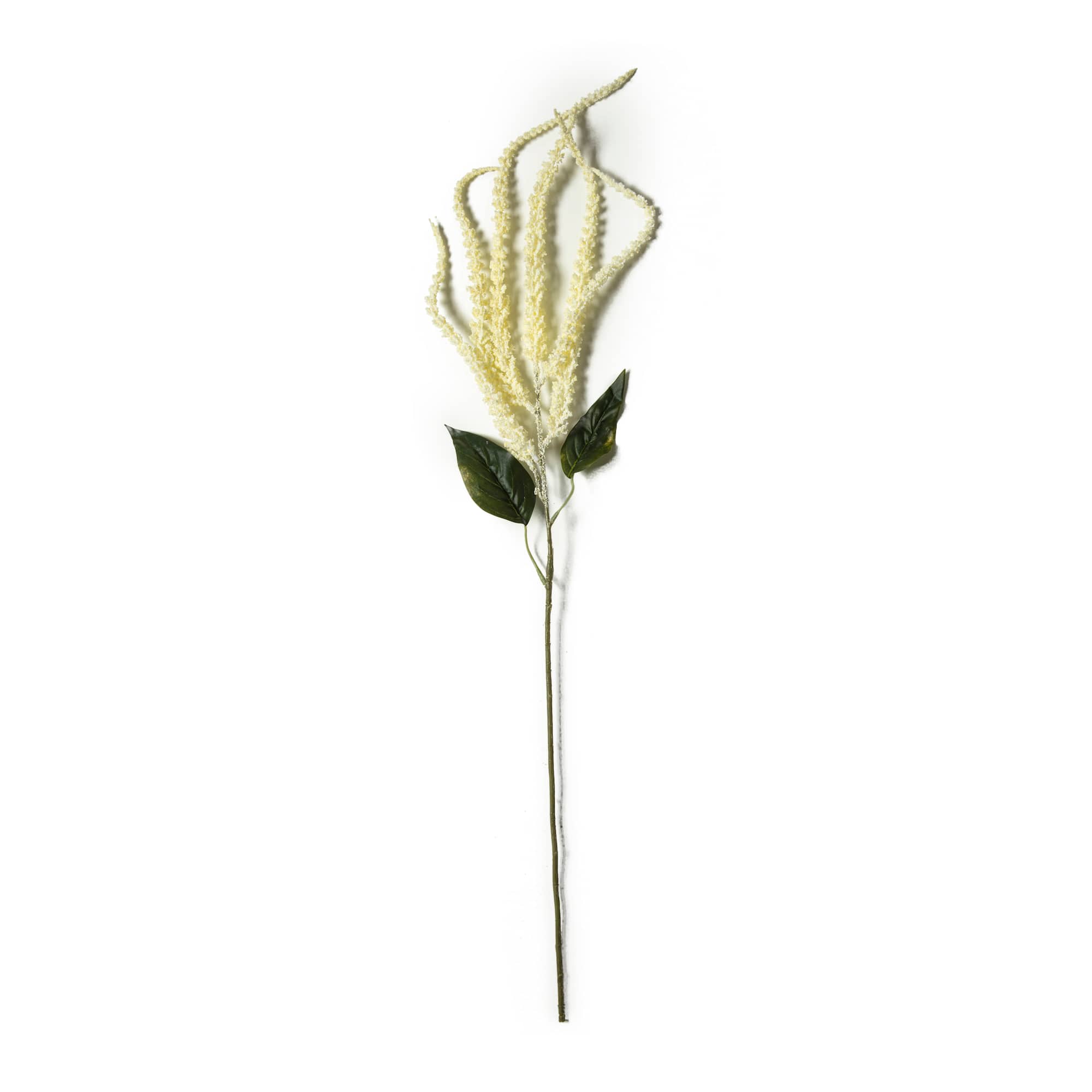 12 Pack: Cream Amaranthus Stem by Ashland®